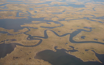 View of relatively healthy marsh area in southeastern Louisiana with tidal channels and canals.